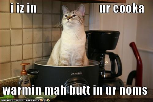 Cat_warming_butt_in_the_crockpot.jpg