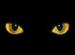 Cats-eyes.jpg