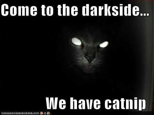 Darkside_Kitty.jpg