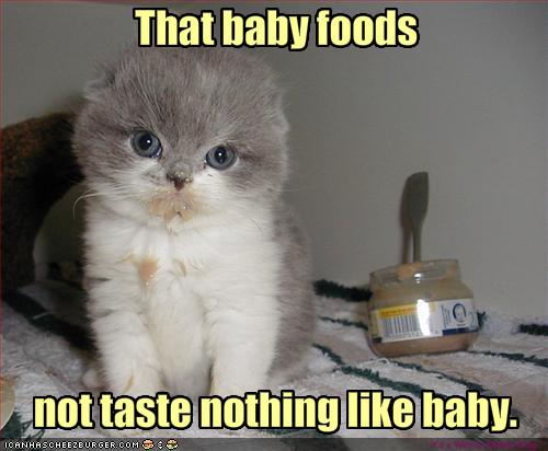 funny-pictures-kitten-is-disappointed-with-baby-food.jpg